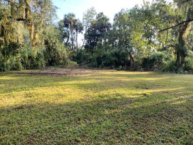 351 Palm Ave Property Photo 8