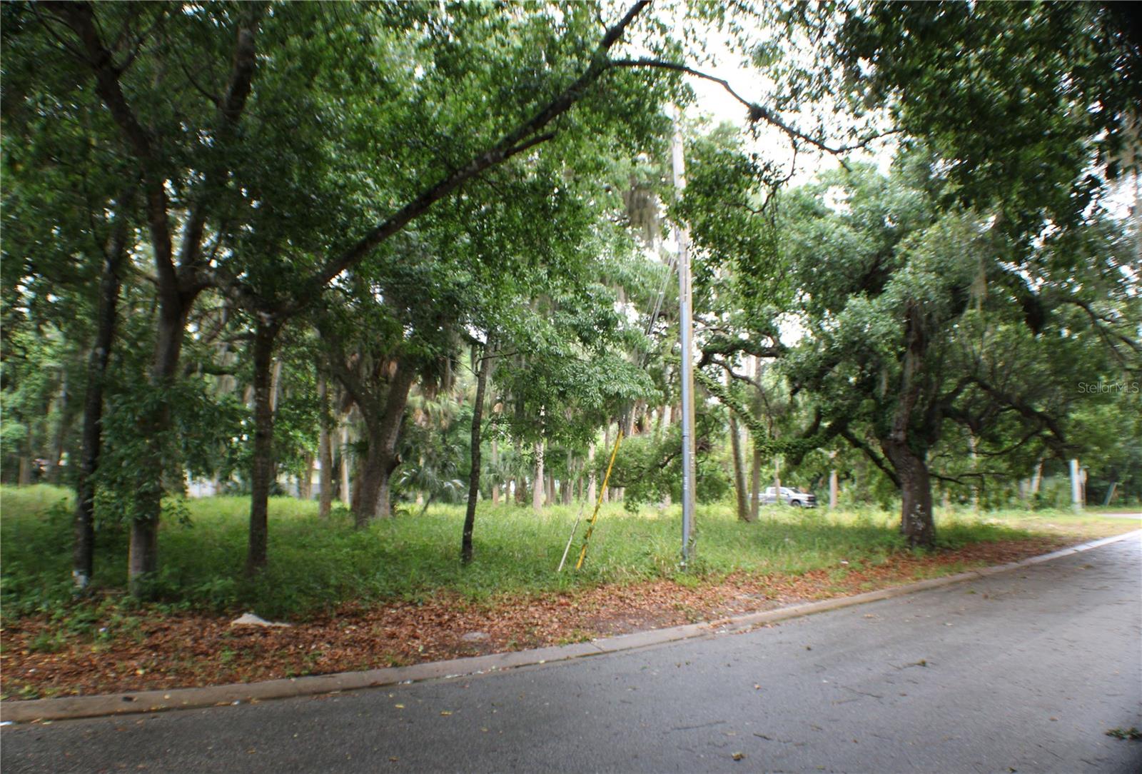 48 Valley St Property Photo 4