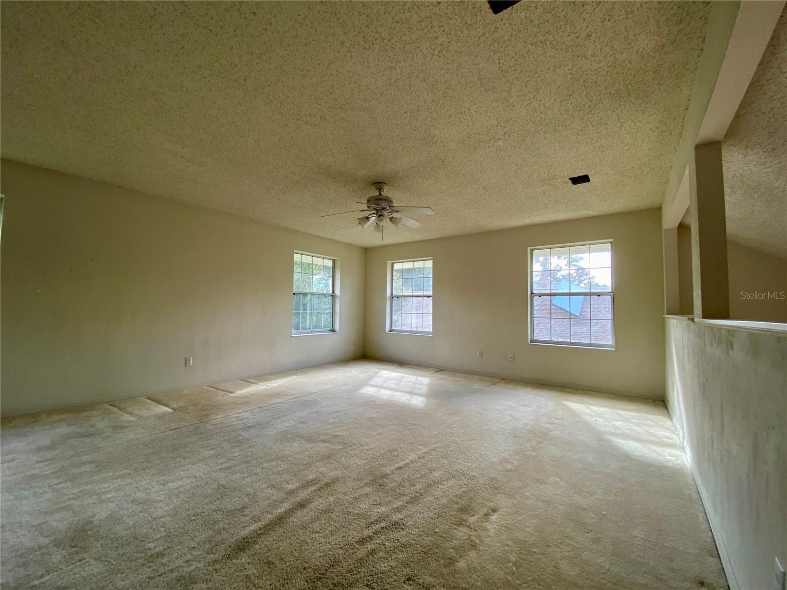 101 Braeburn Cir Property Photo 14