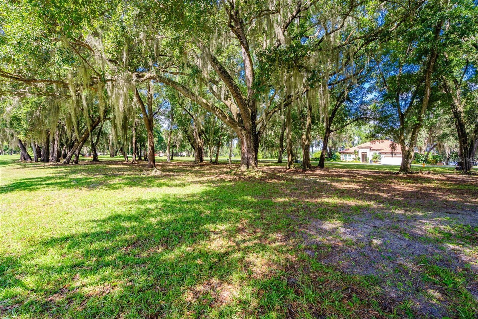 3605 Aquamarine Dr Property Photo 3