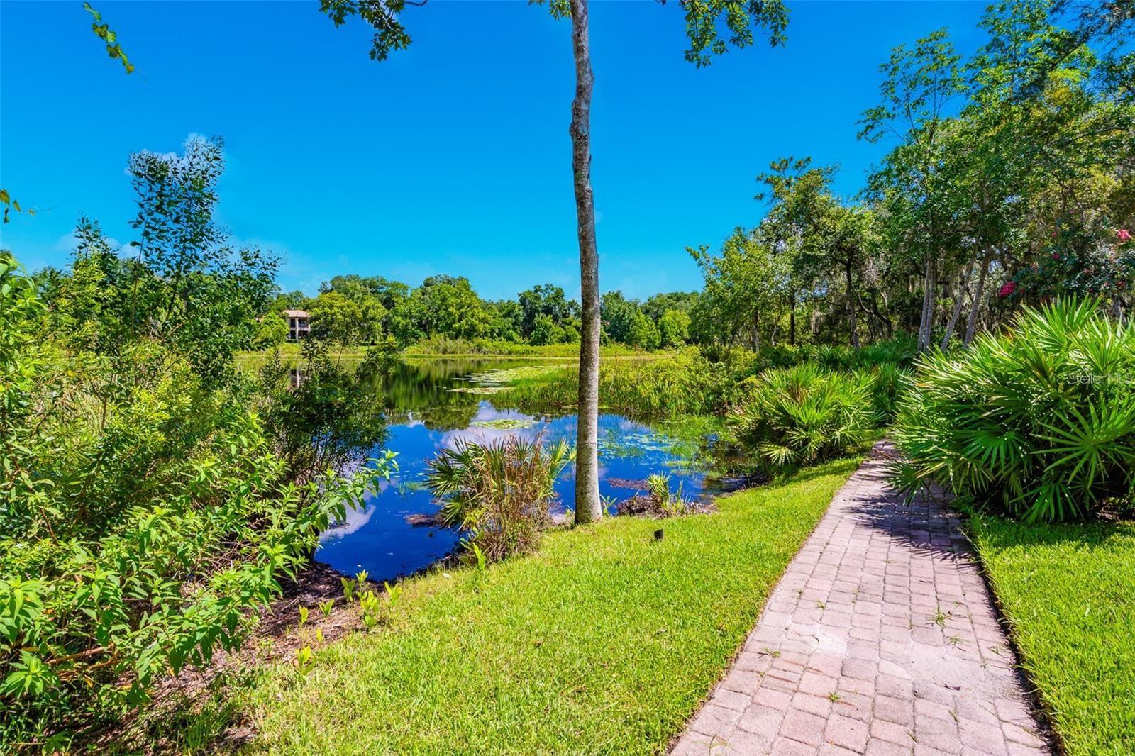 3605 Aquamarine Dr Property Photo 33