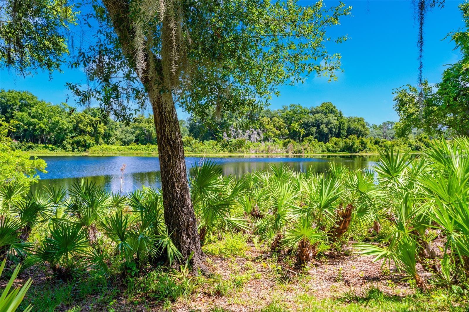 3605 Aquamarine Dr Property Photo 36
