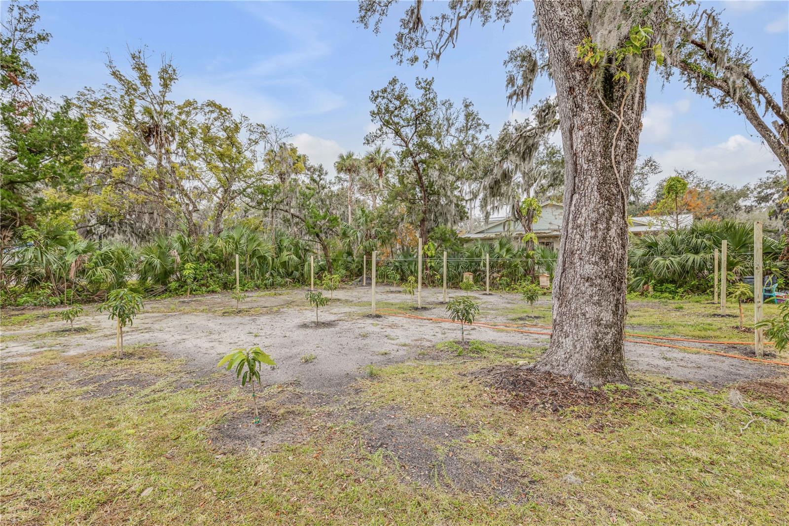 801 Canal St Property Photo 73