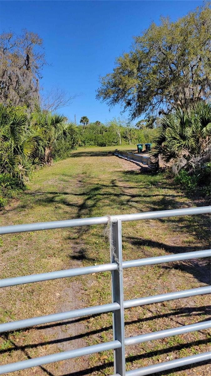 318 Palm Ave Property Photo 6