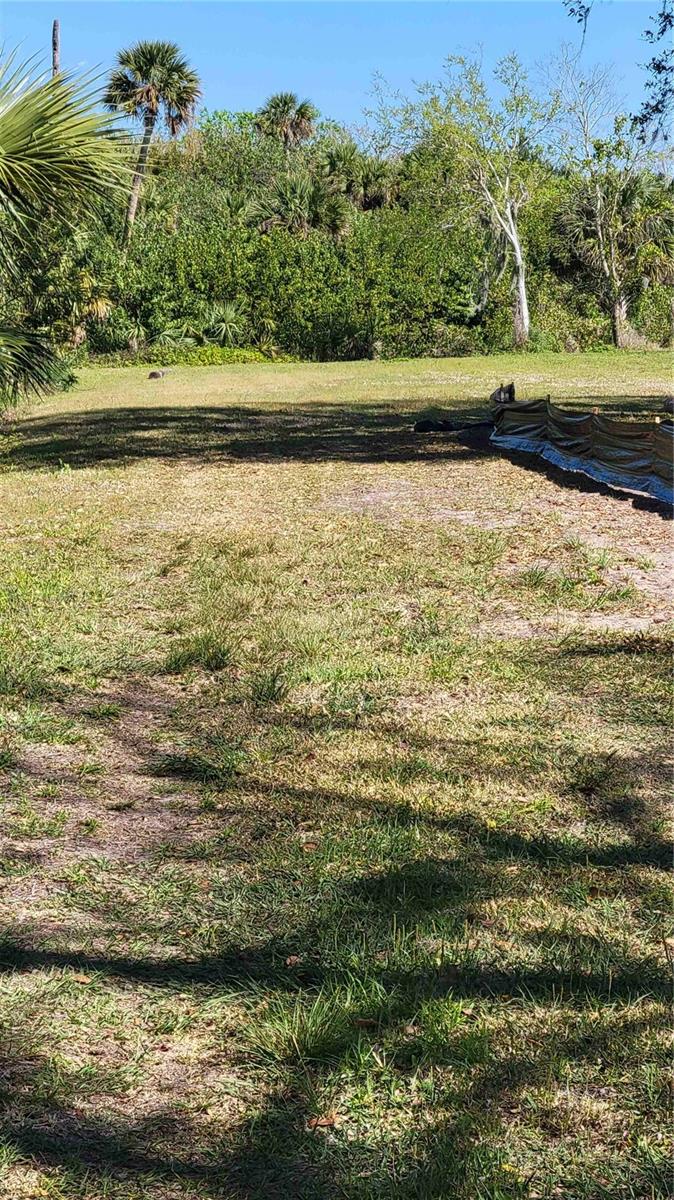 318 Palm Ave Property Photo 10