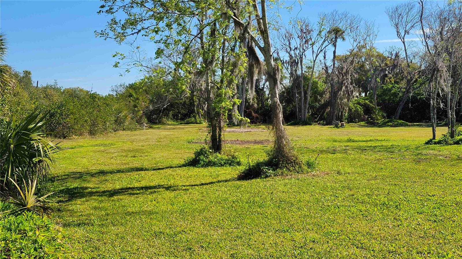 318 Palm Ave Property Photo 13
