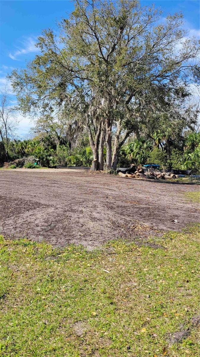 318 Palm Ave Property Photo 14