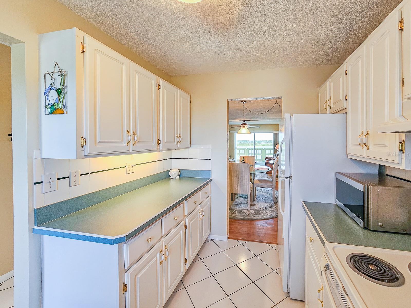 3606 S Peninsula Dr #703 Property Photo 11