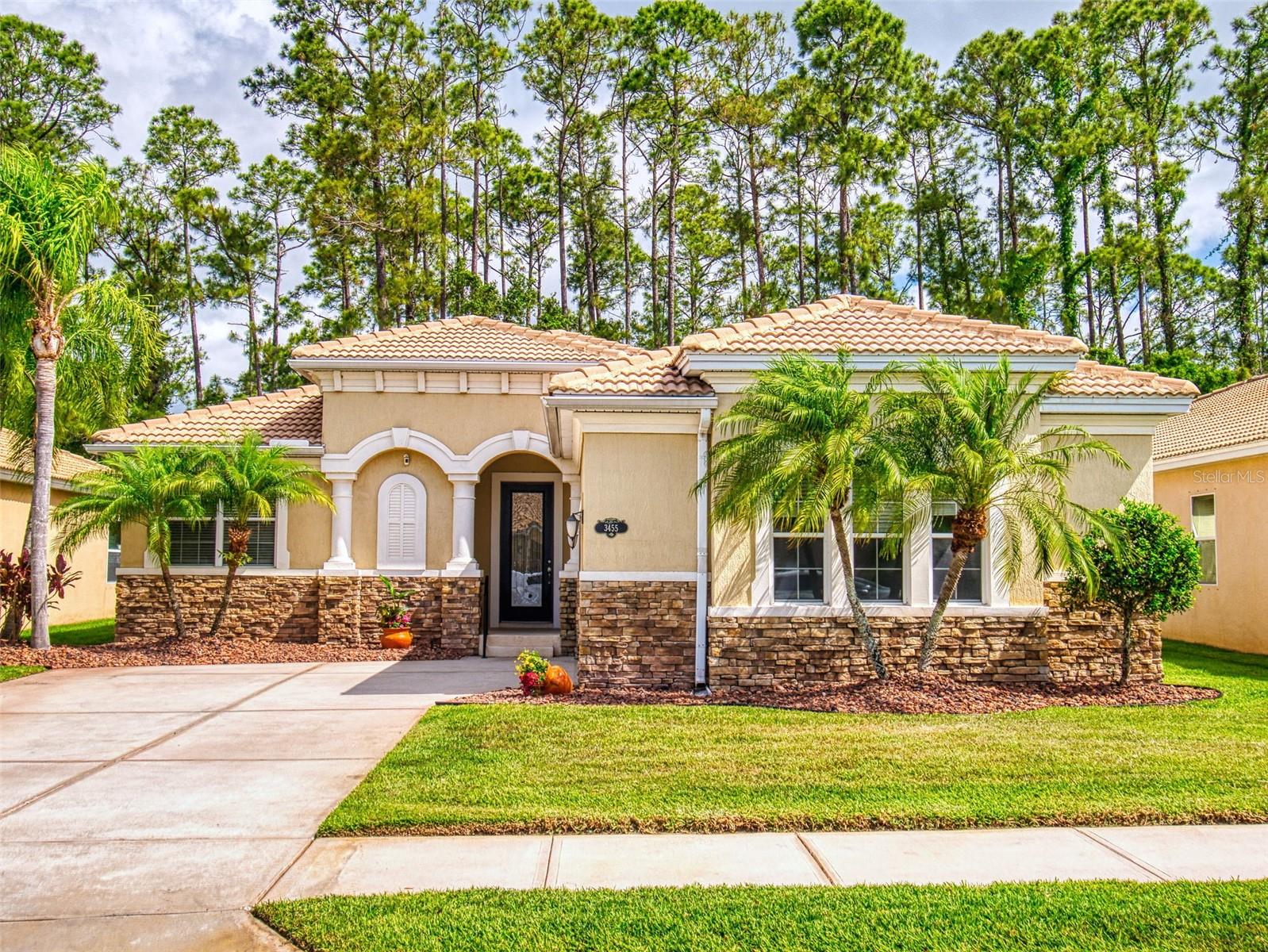 3455 Pegaso Ave Property Photo 1
