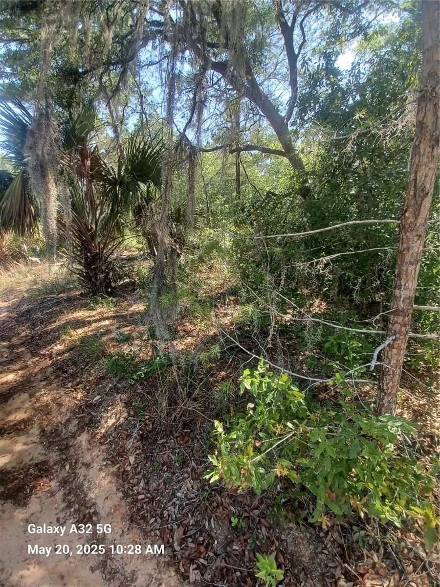 108 RABBIT TRACK RD Property Photo 1