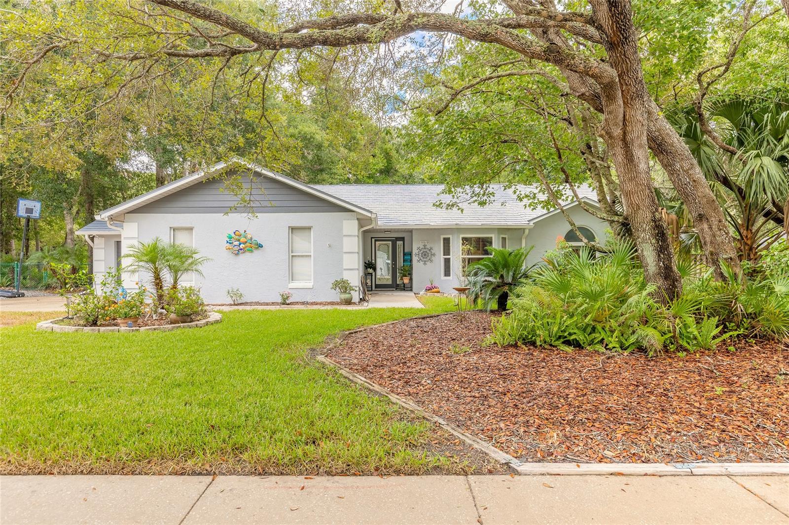 5919 Aruna Dr Property Photo 1