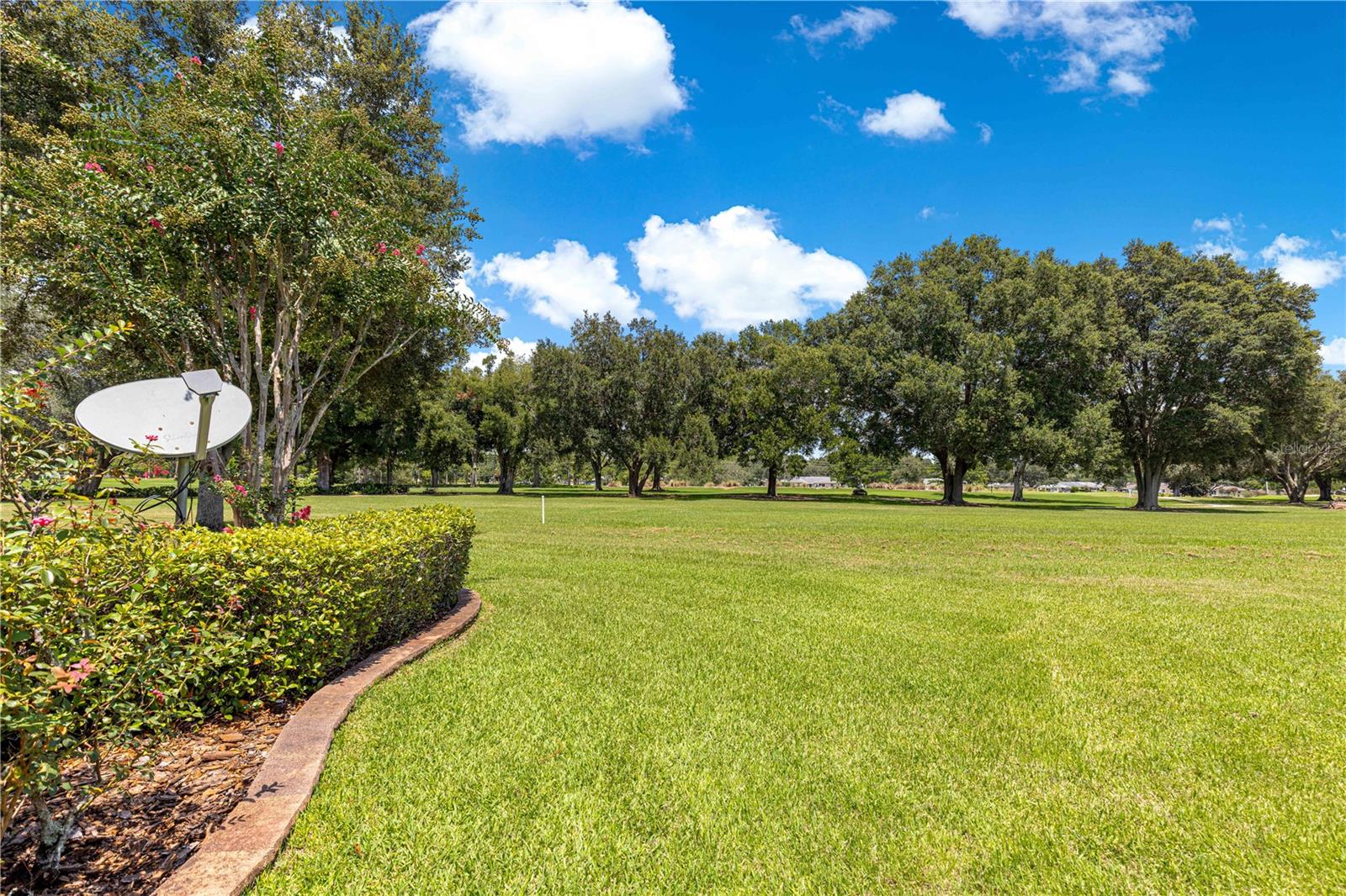 9365 Sw 94th Loop Property Photo 43