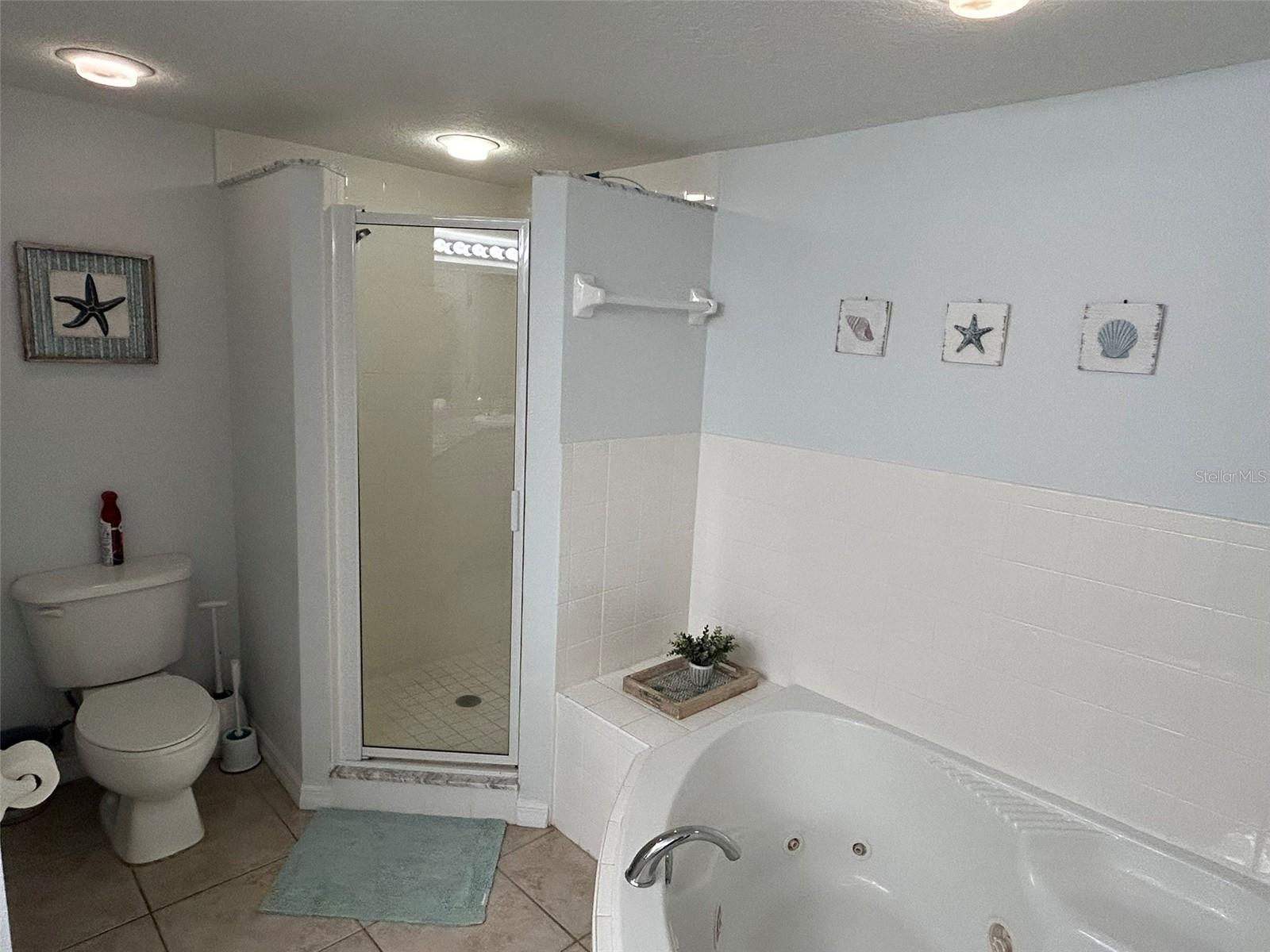 5300 S Atlantic Ave #4-302 Property Photo 13