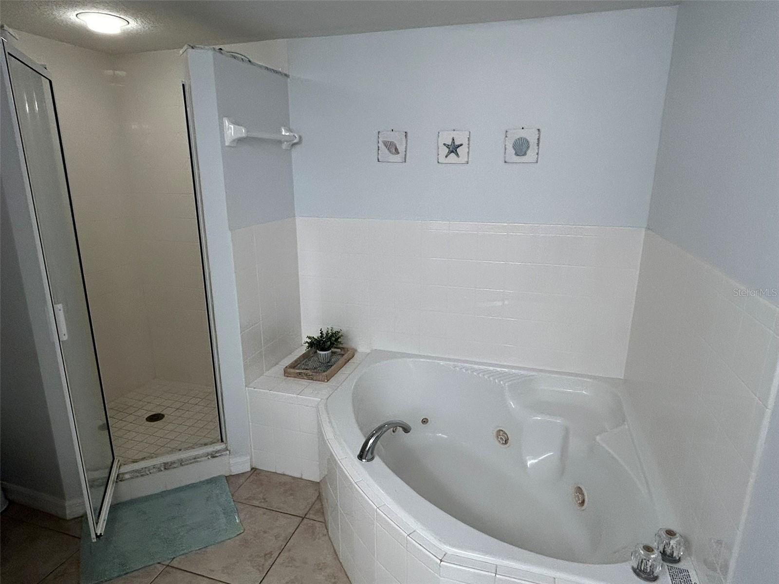 5300 S Atlantic Ave #4-302 Property Photo 14