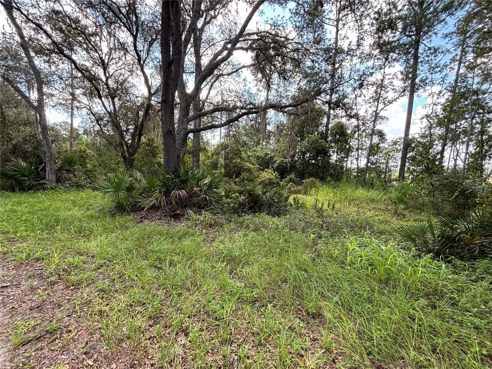 246 Browns Hammock Rd Property Photo 3