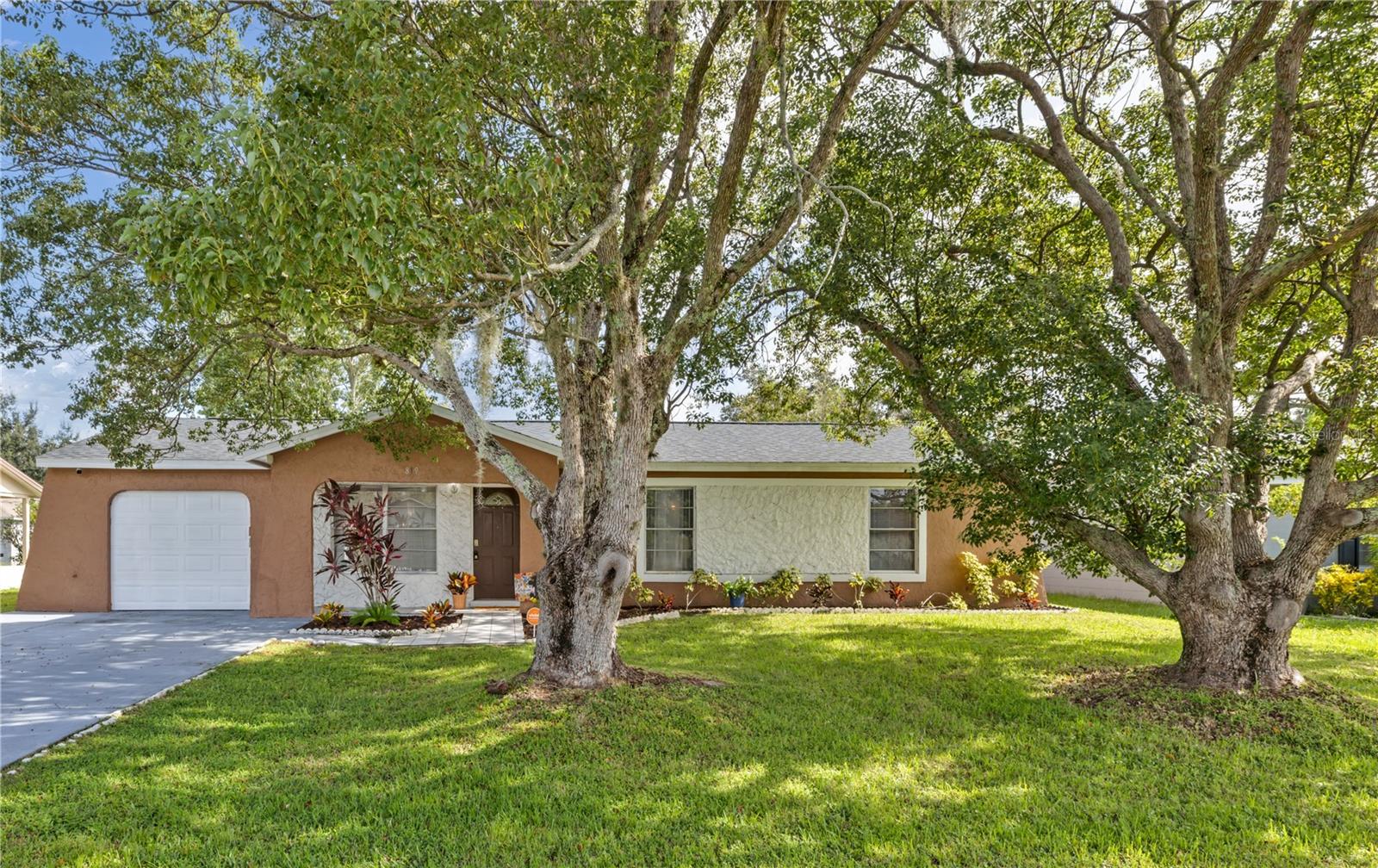 819 Nelson Dr Property Photo 1