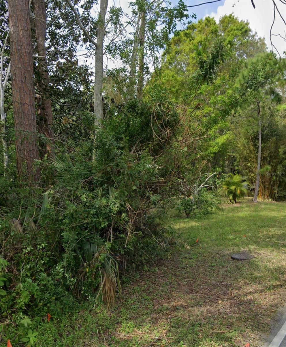 960 Mcdonald Property Photo 2