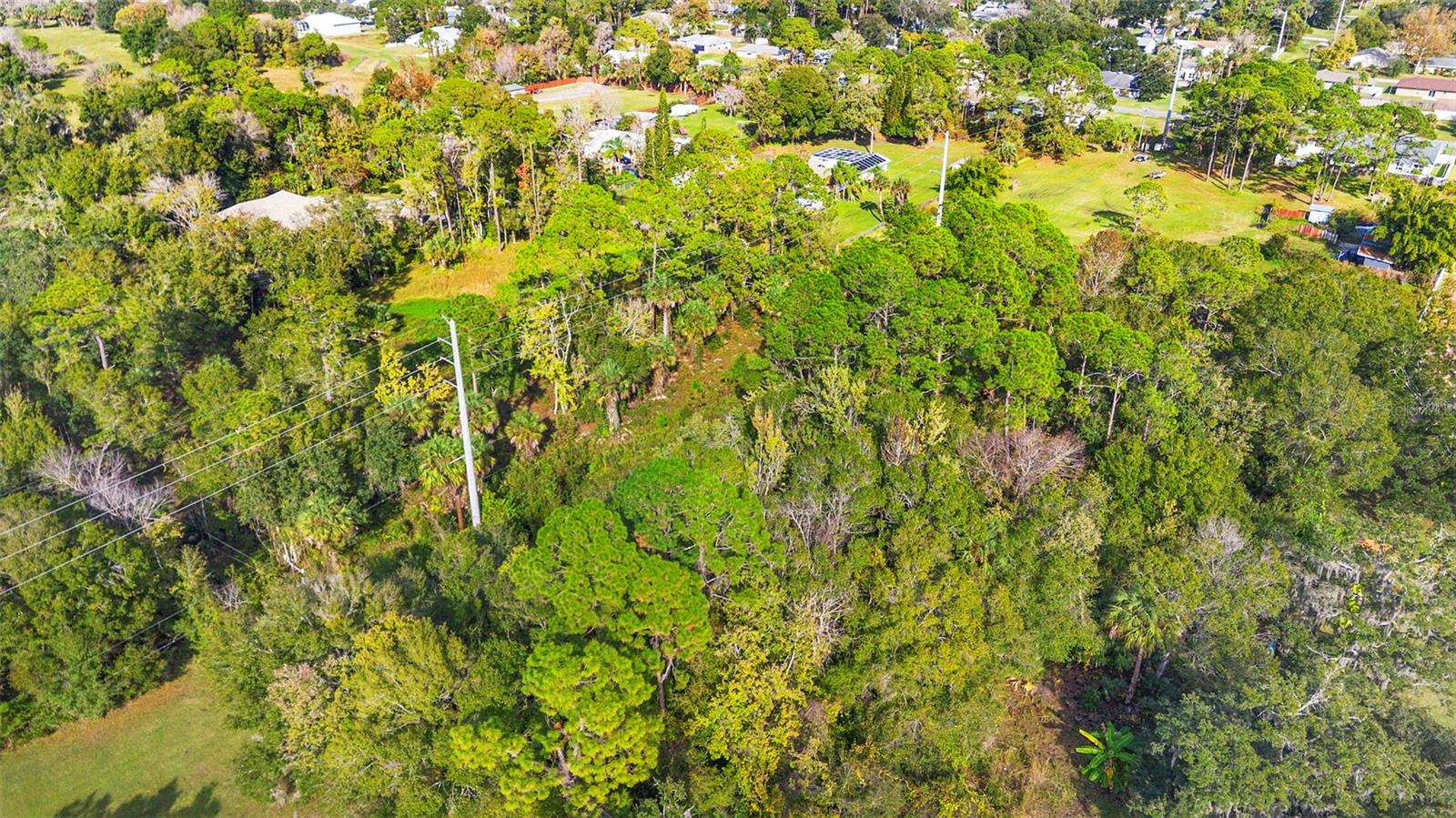 Pinedale Rd Property Photo 4