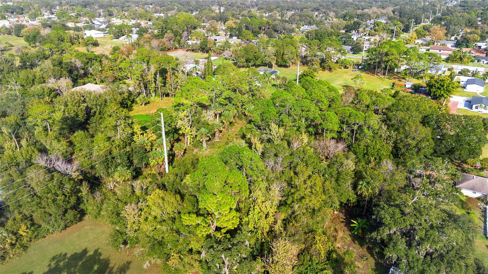 Pinedale Rd Property Photo 8