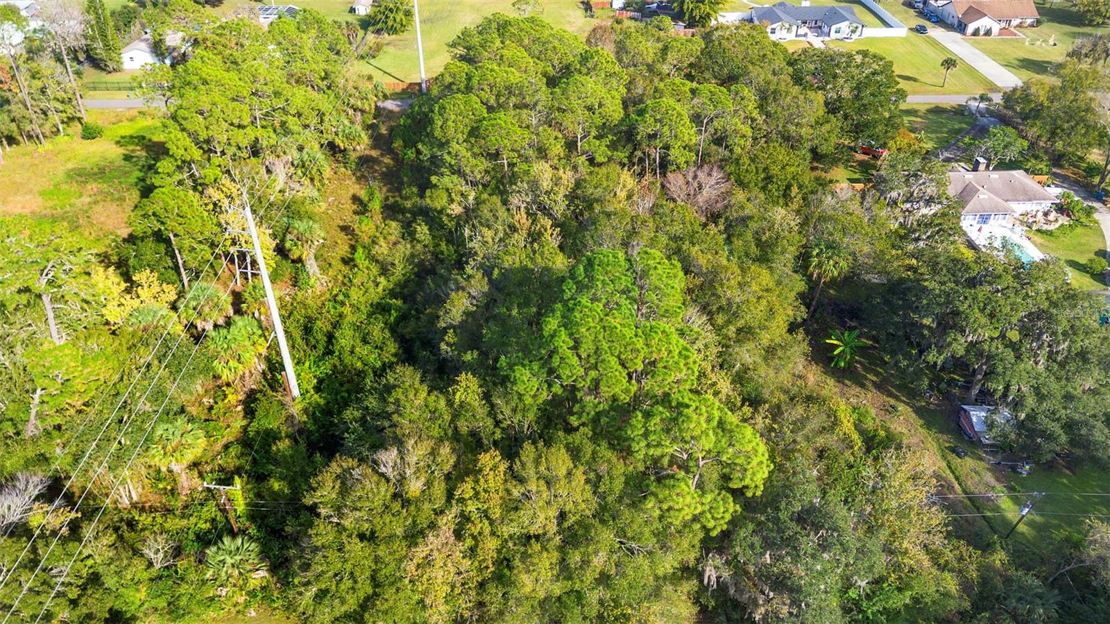 Pinedale Rd Property Photo 9