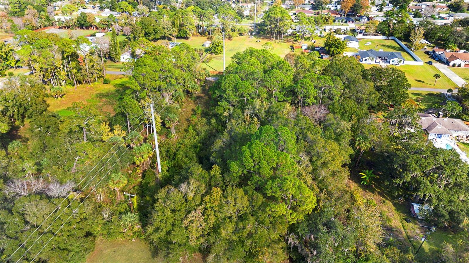Pinedale Rd Property Photo 11