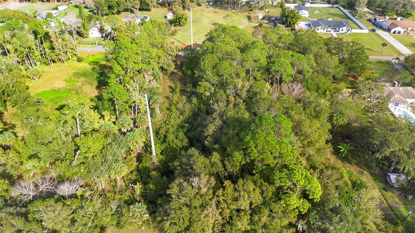 Pinedale Rd Property Photo 13