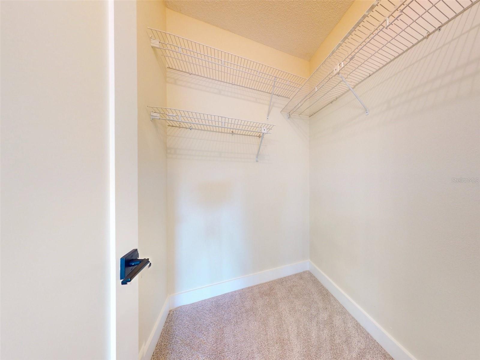 804 Soft Pine Ct Property Photo 54