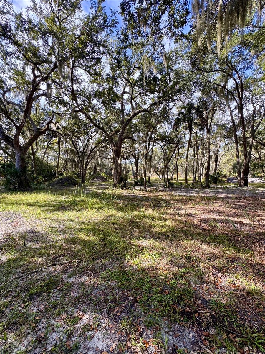 0 Clinton Cemetery Rd. Property Photo 25