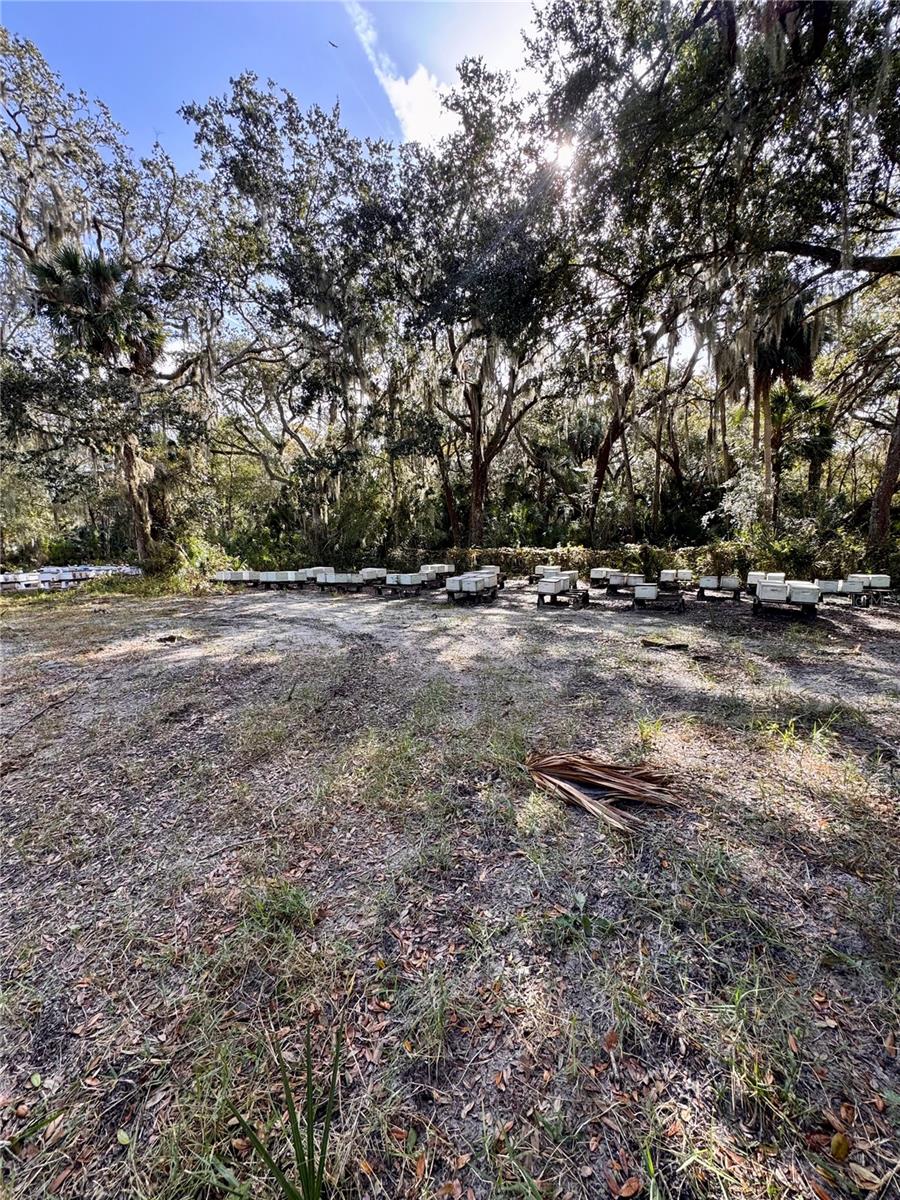0 Clinton Cemetery Rd. Property Photo 26