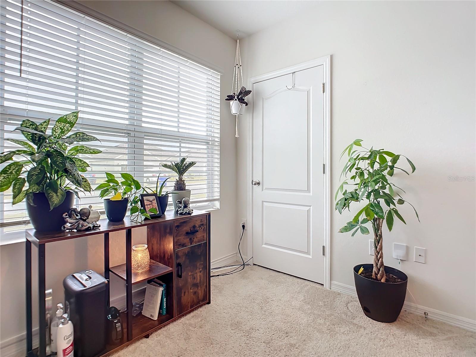 2607 Elmbrooke Way Property Photo 29