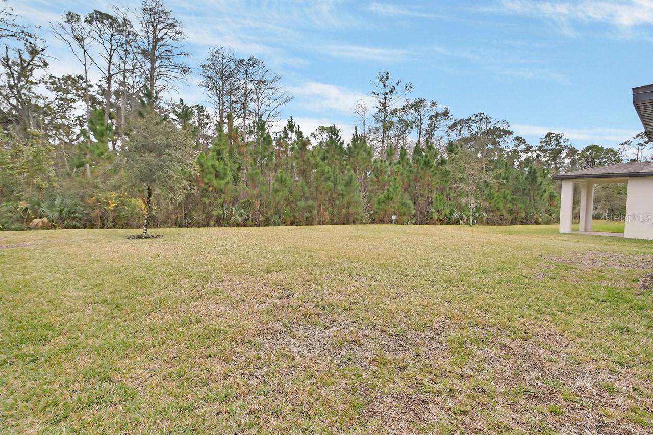 NS1087092 Property Photo 31