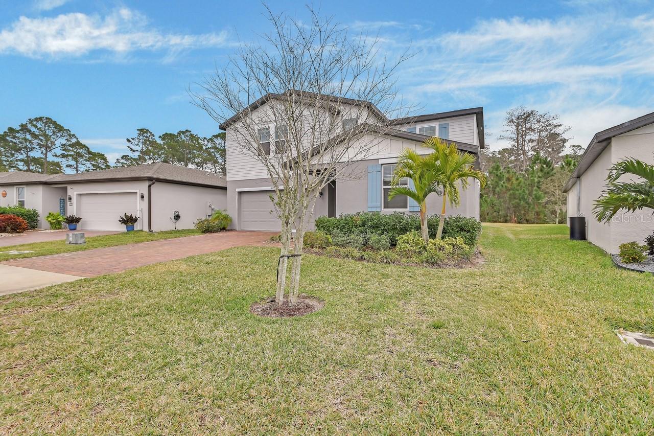 NS1087092 Property Photo 34