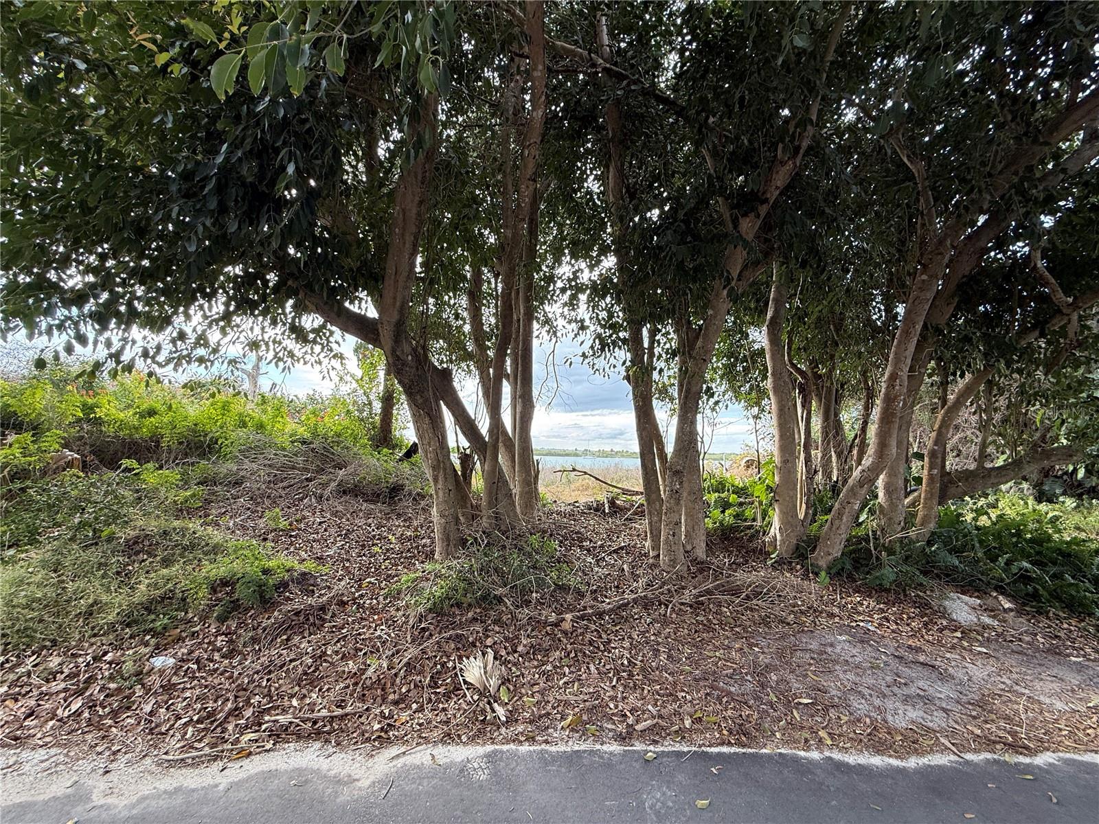 1602 N Indian River Rd Property Photo 10