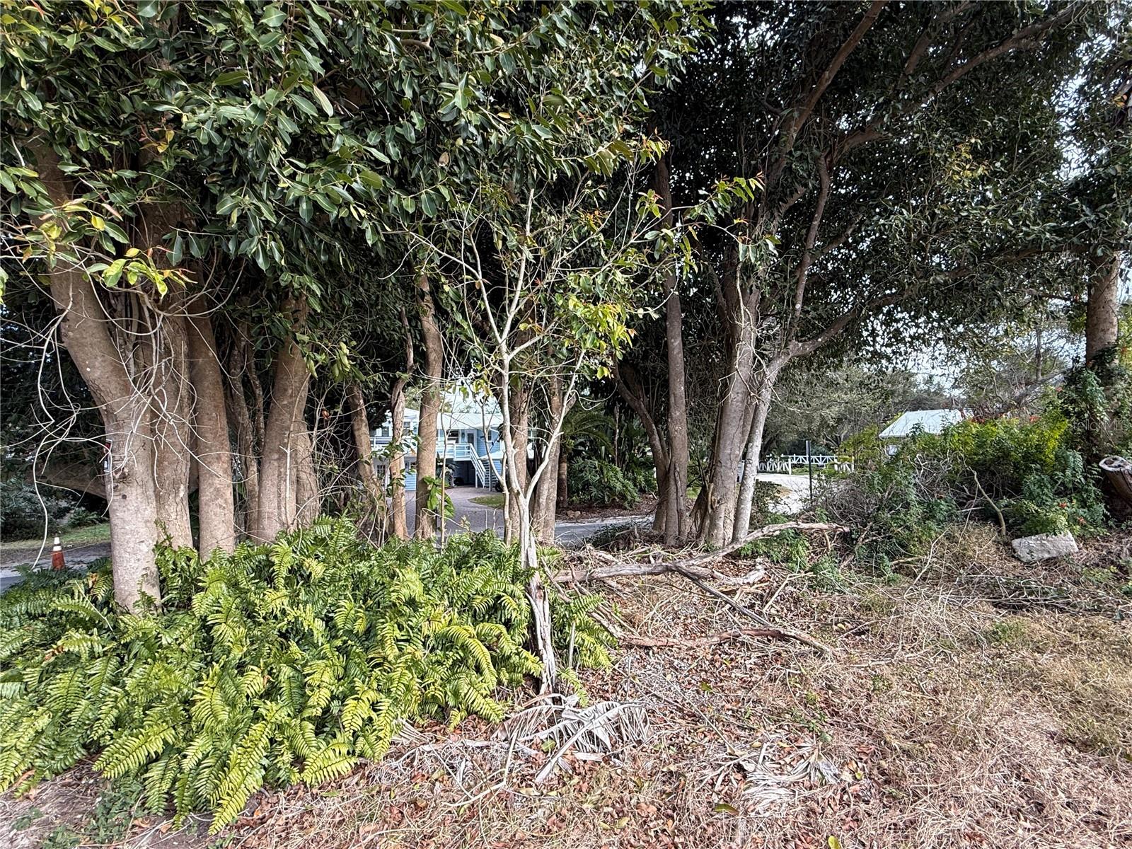 1602 N Indian River Rd Property Photo 11