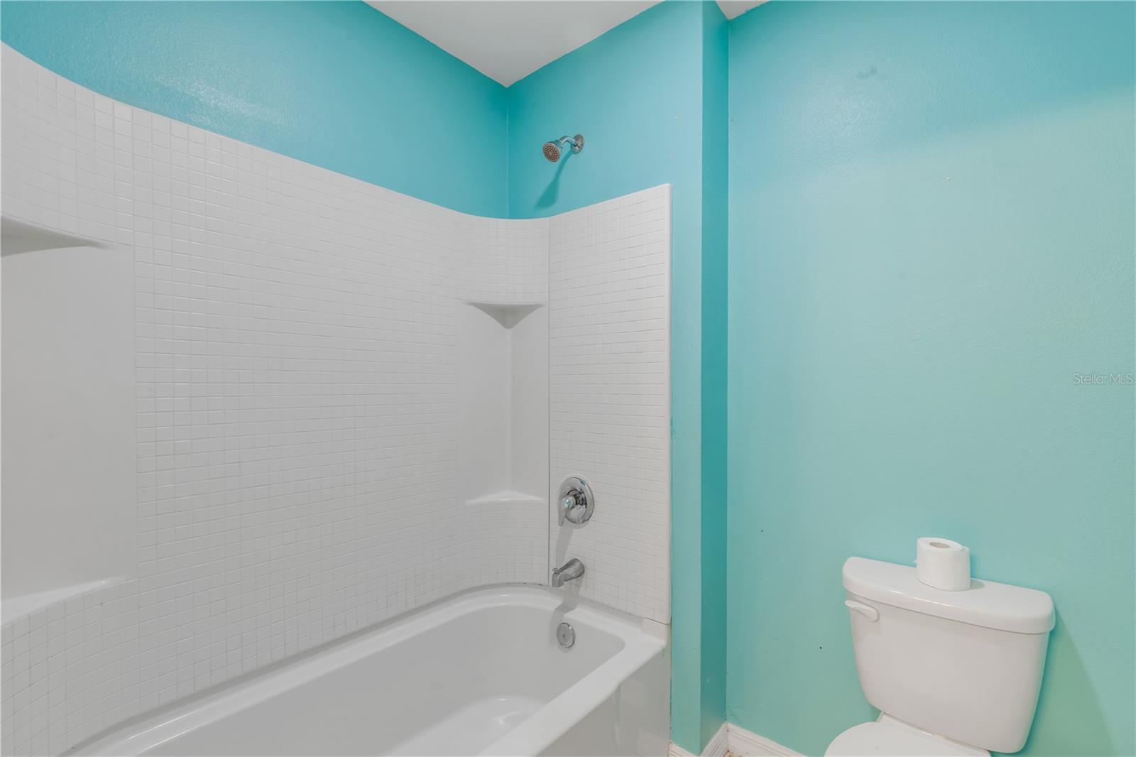 5215 Bear Corn Run Property Photo 59