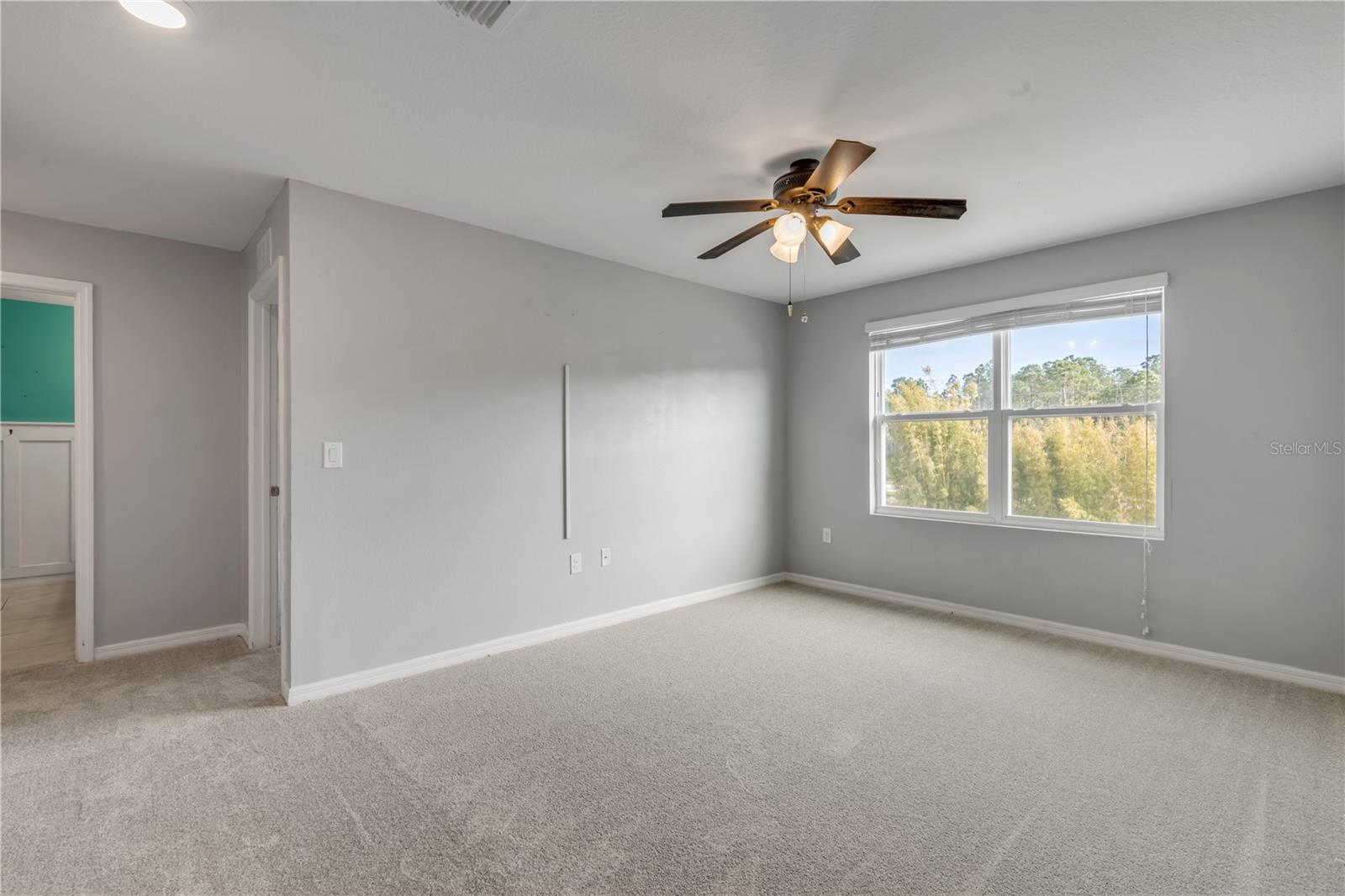 5215 Bear Corn Run Property Photo 62