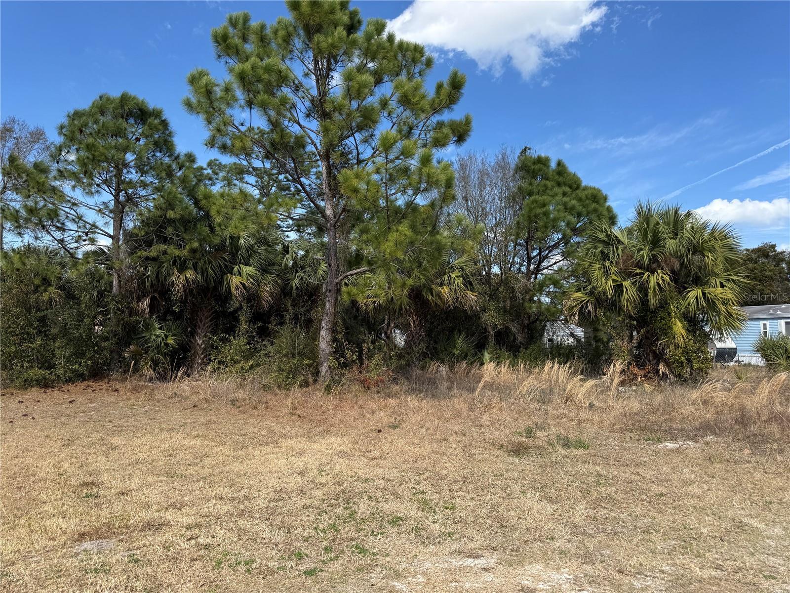 1069 Massey Rd Property Photo 3
