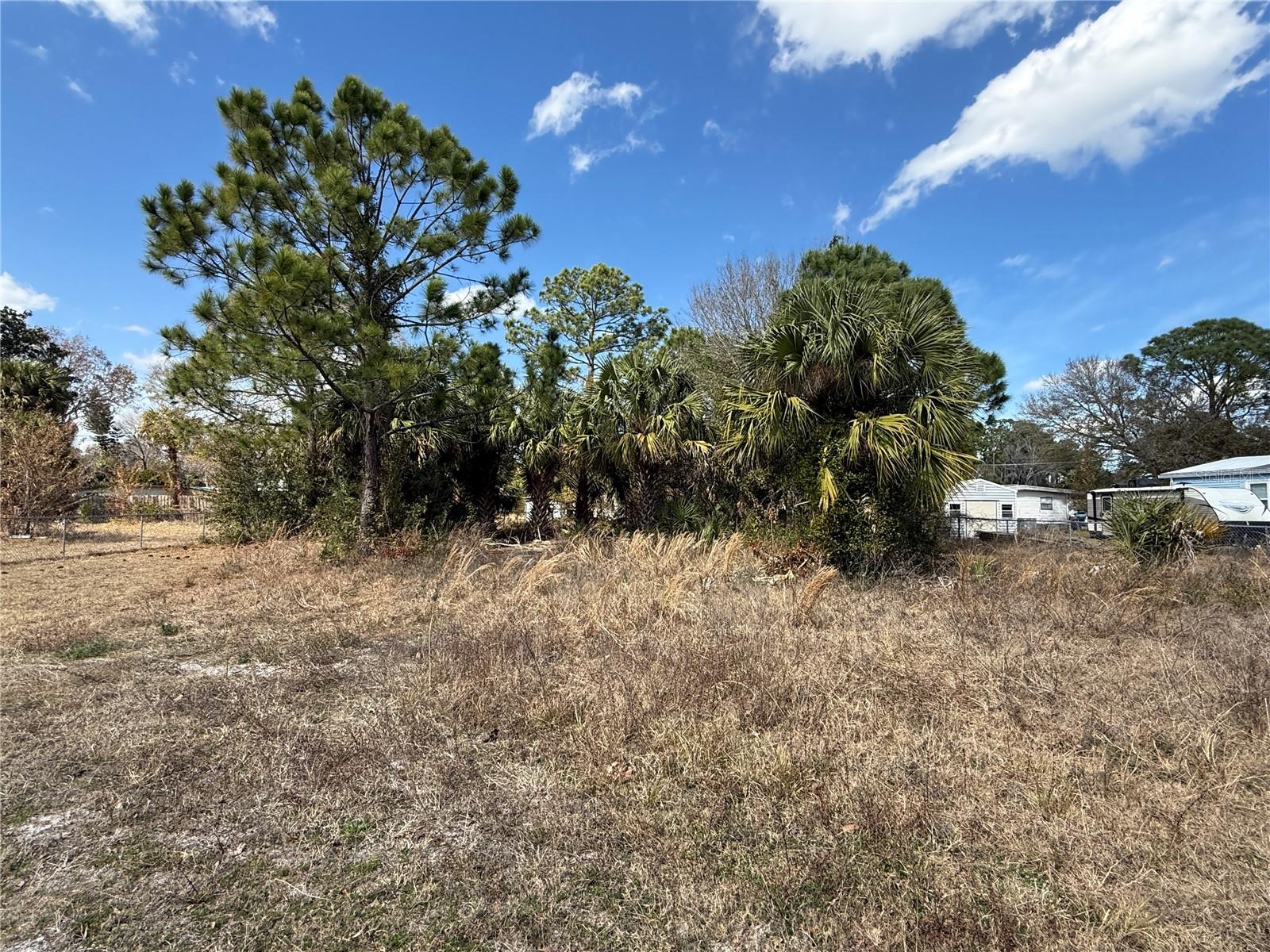1069 Massey Rd Property Photo 5