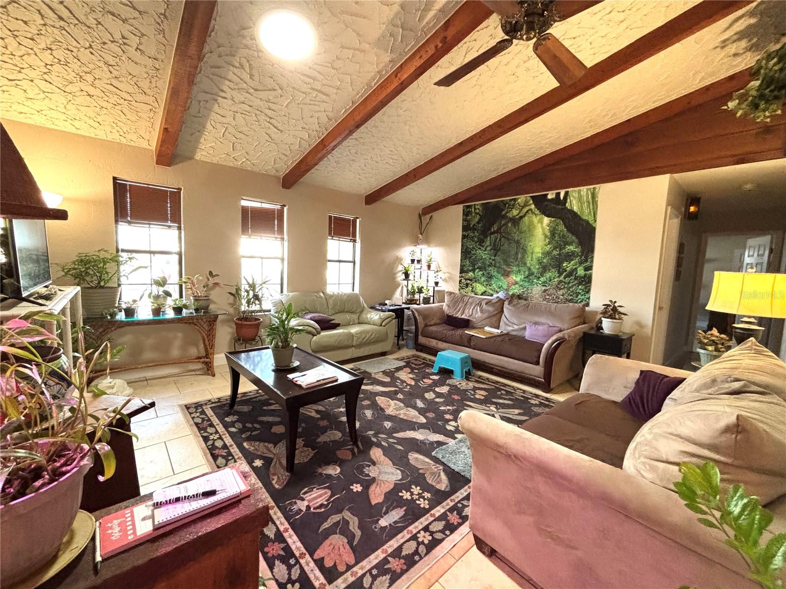 6 Fairgreen Ave Property Photo 4