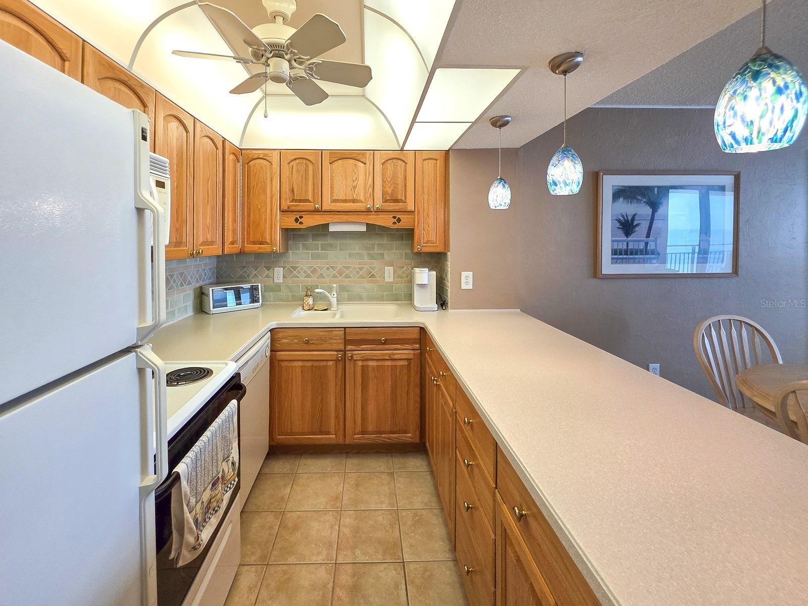 3051 S. Atlantic Ave #1805 Property Photo 8