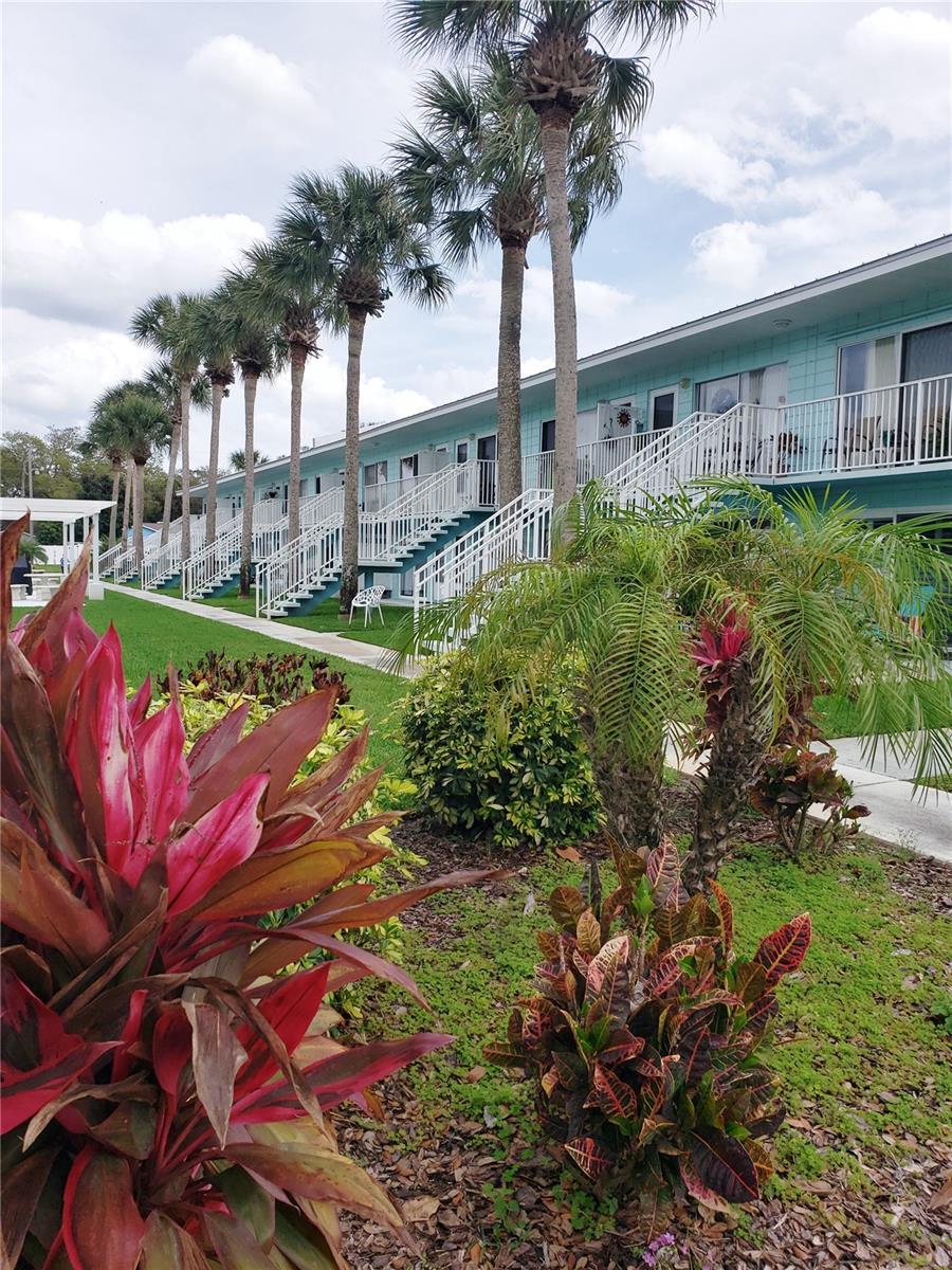 541 S PENINSULA AVE #A21