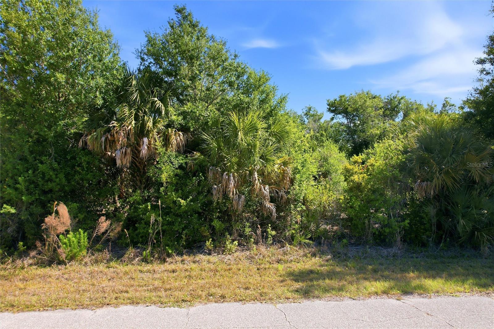 7095 FREEBERG CIR Property Photo 1