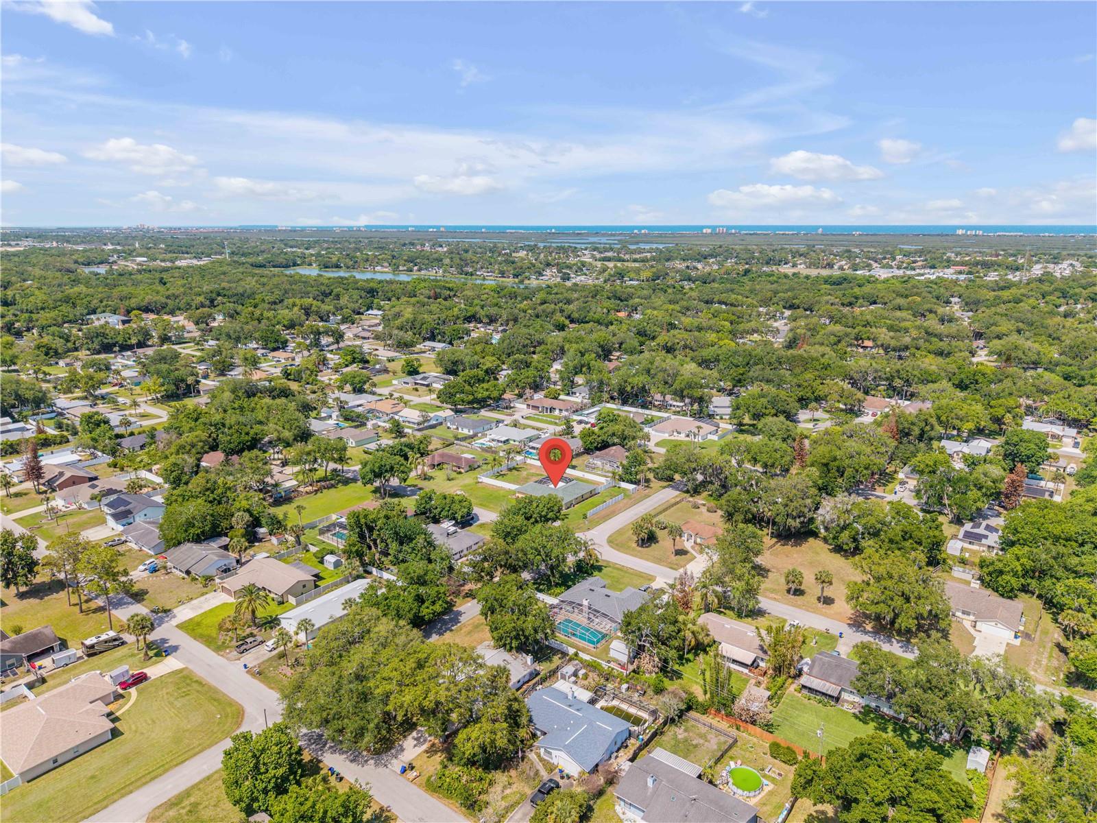 1529 Sabal Palm Dr Property Photo 36