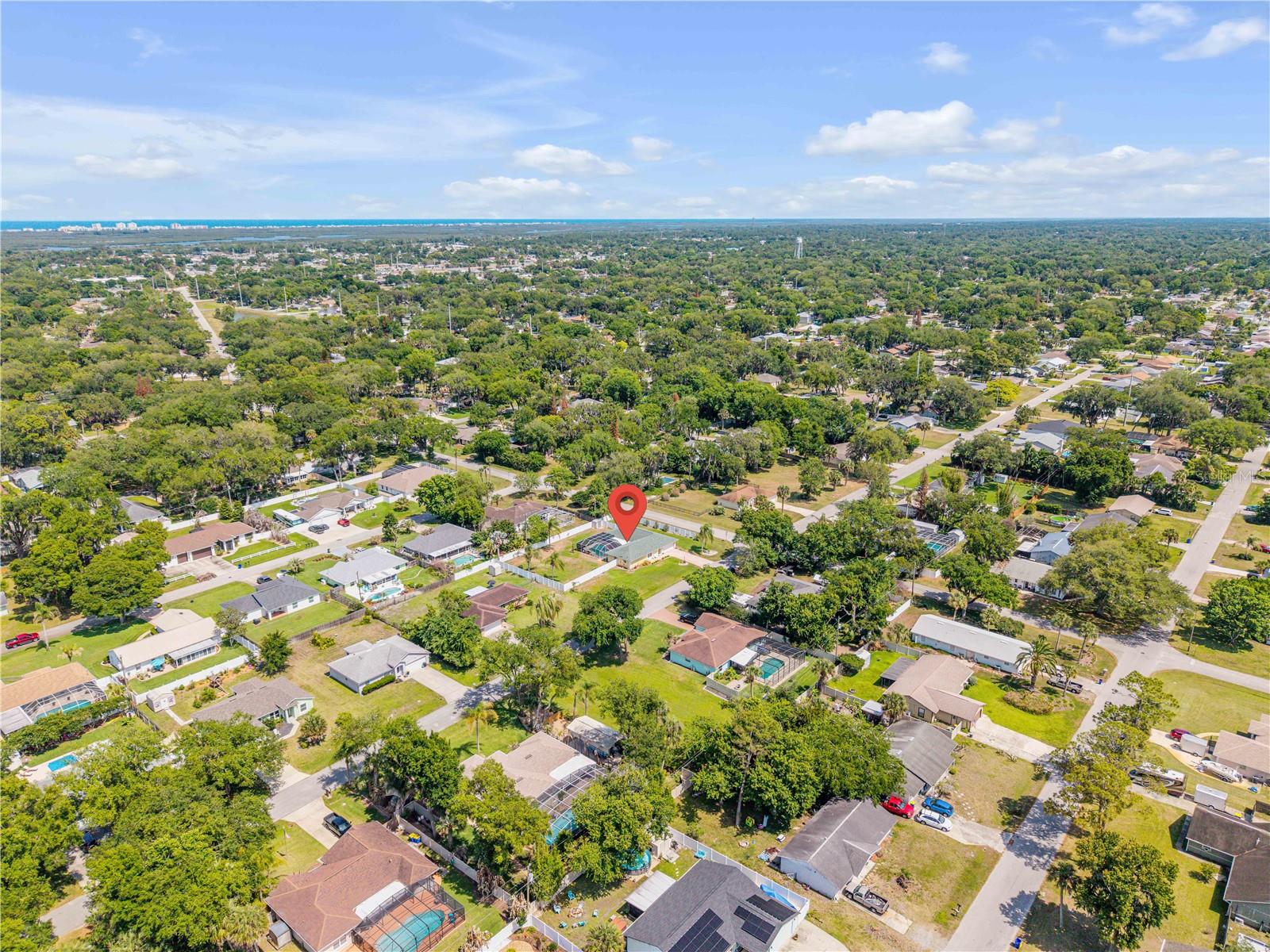 1529 Sabal Palm Dr Property Photo 37