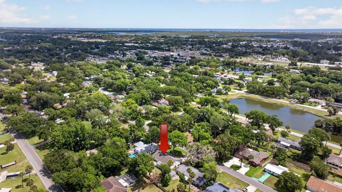 2012 Mango Tree Dr Property Photo 32