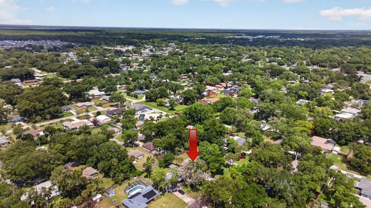 2012 Mango Tree Dr Property Photo 33