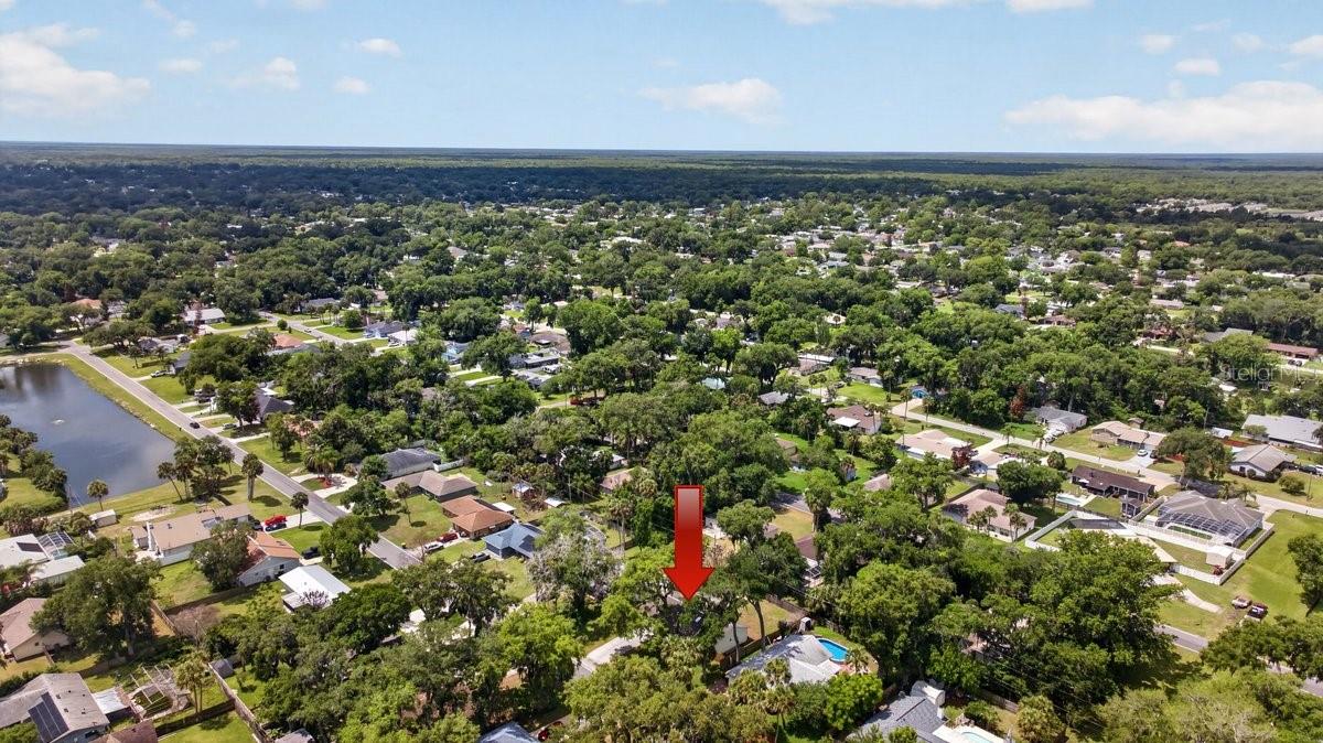 2012 Mango Tree Dr Property Photo 34