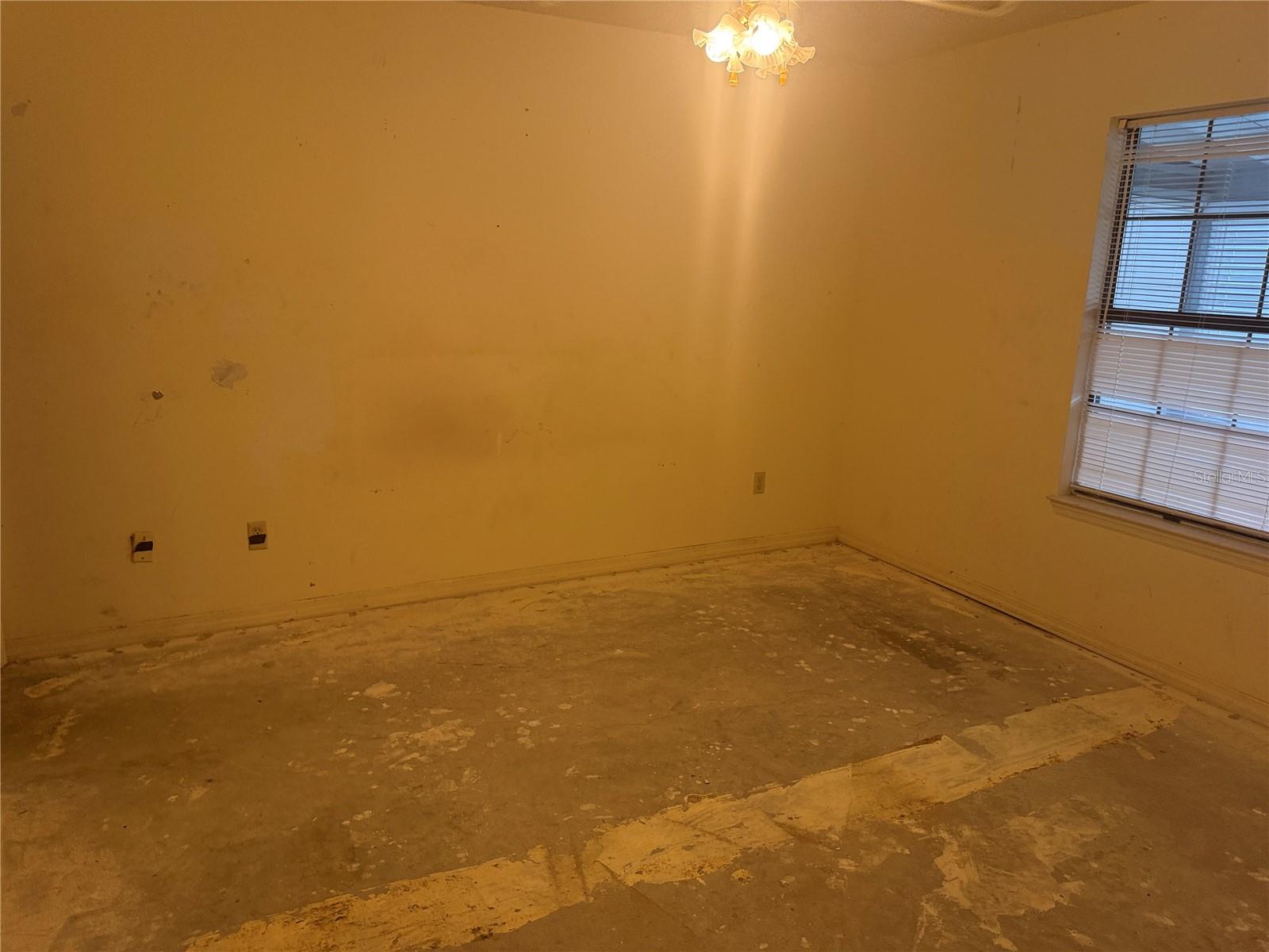 1116 Fairvilla Dr #1116 Property Photo 8