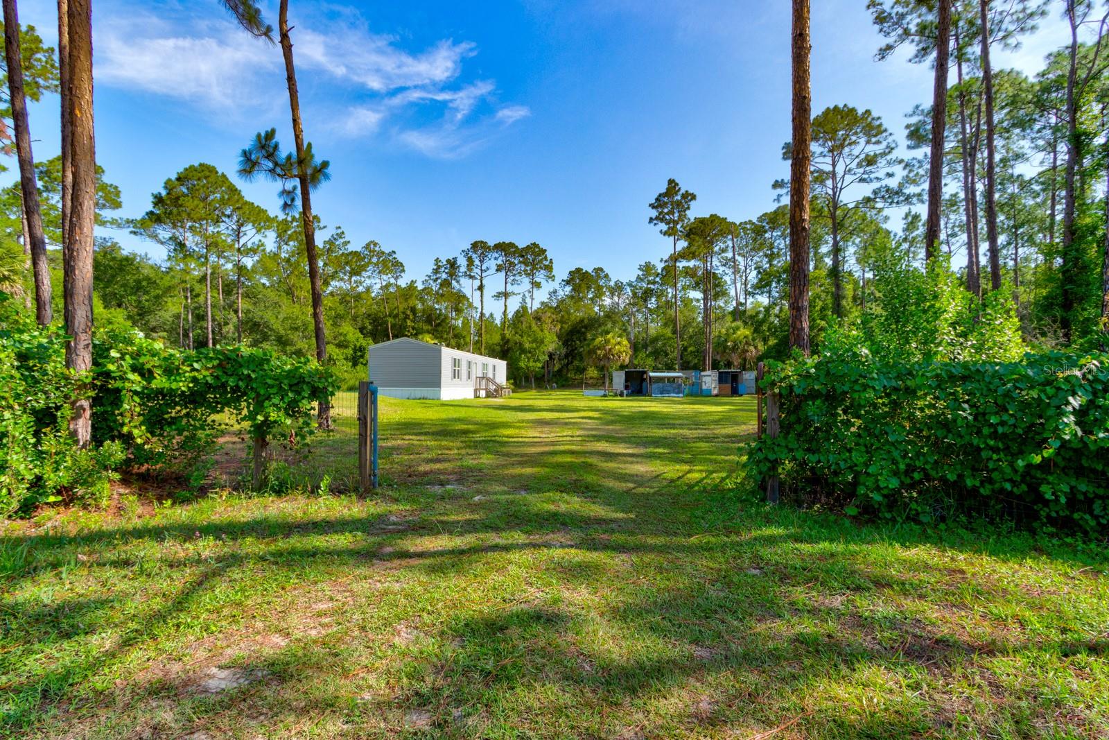5074 Butternut Ave Property Photo 4