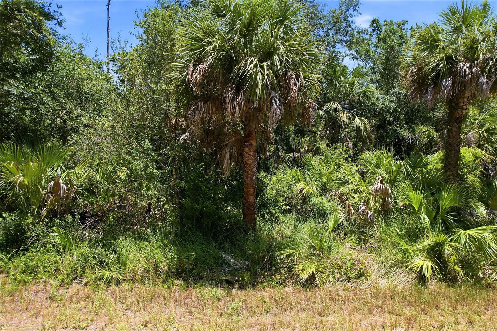 18426 Sagamore Ave Property Photo 13